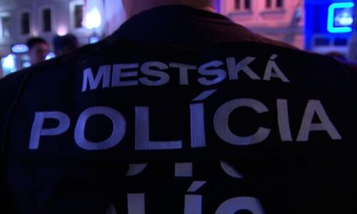 Malá holčička se v noci toulala v ulicích Bratislavy. Bála jsem se sama doma, řekla strážníkům