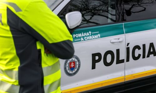 Policejní brutalita na Slovensku: Muž zákona bil pěstí do hlavy teprve 15letého mladíka