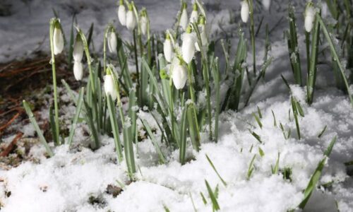 Teploty vystřelí k dvacítce, řítí se ale výrazný zvrat i sníh. MAPA odhaluje, jak bude u vás