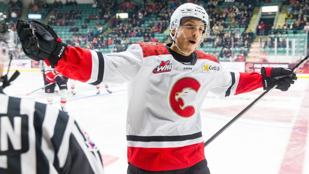 Ahl: kmeca po výbornom výkone vyhlásili za hviezdu zápasu. bodoval aj sýkora