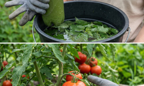 Prestaňte ničiť pôdu umelými granulátmi, skutočný turbo-pohon pre vaše hriadky rastie v každom kúte a nič vás nebude stáť!
