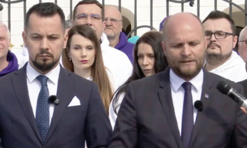 Demokrati odovzdali Pellegrinimu podpisy na referendum, chcú predčasné voľby aj zrušenie Ficovej renty – VIDEO