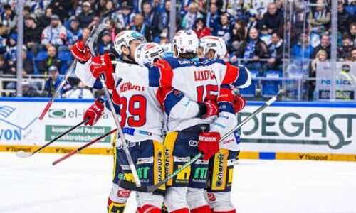 Minuloročný majster z česka končí už vo štvrťfinále! ambiciózne pardubice nedali brnu žiadnu šancu