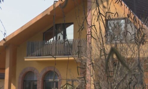 „Podívej se, co udělala.“ Patrik měl ubodat manželku, synovi pak tvrdil, že jde o sebevraždu