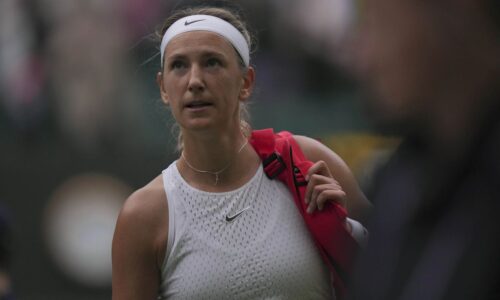 Akoby sa po nej zľahla zem. Čo sa stalo s bývalou svetovou jednotkou?