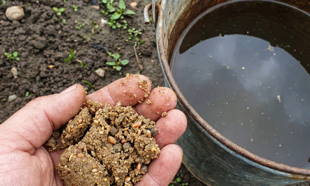 Prečo profíci pridávajú do pôdy práve túto cereálnu dobrotu a ako to súvisí s počtom dážďoviek, ktoré vám bleskovo skypria celú záhradu?