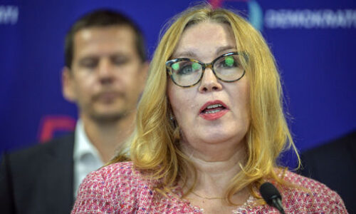 O post bratislavskej primátorky zabojuje aj šéfka Pirátov: Rozohrala sa hra oligarchie a finančných skupín v prospech Ráža