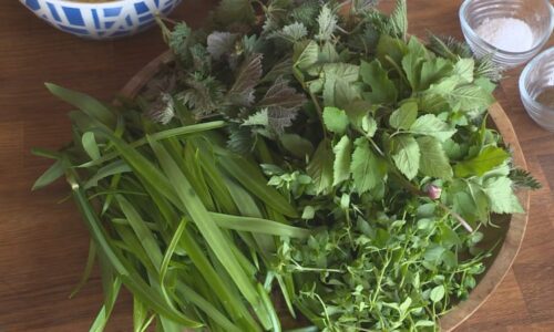 Jarní bylinky jsou plné vitamínů. Připravit si z nich můžete polévku, pesto i sladkou tečku