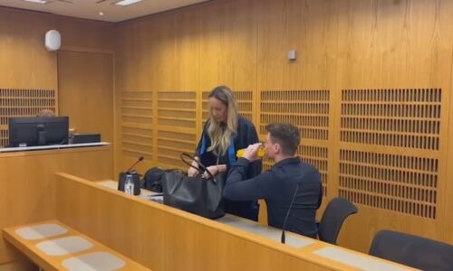 Zabil na chodníku maminku s kočárkem. Řidič se hájí kašlem, rodina ženy chce vyšší trest