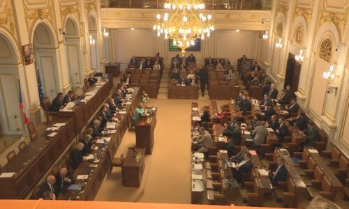 Snížíme odvody pro živnostníky, shodla se Sněmovna. Měli by ušetřit stovky korun měsíčně