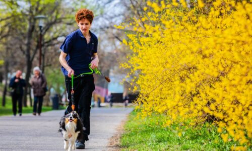Po teplejších týždňoch príde veľká zmena počasia. Meteorológovia varujú pred dažďom aj snehom na juhozápade
