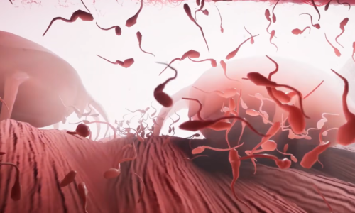 Častejšie ejakulácie môžu zvýšiť mužskú plodnosť, naznačuje výskum