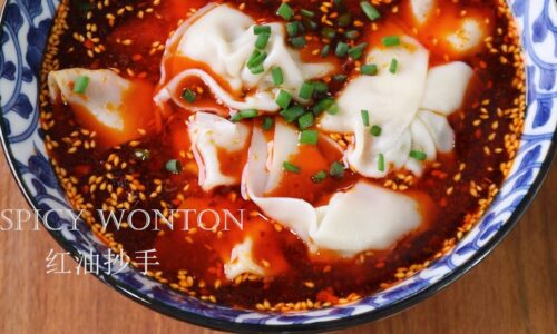 Spicy Wonton | 红油抄手 | 怎么做好吃的麻辣抄手 调味料大揭秘