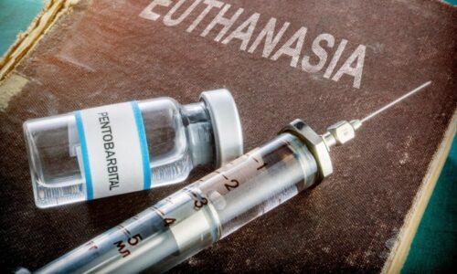 Eutanázie ukončila tragický život mladé Španělky. O právo zemřít svedla boj s církví i otcem