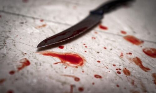 Vražda v Liboci: Dlužil úvěrové společnosti, zabil její zaměstnankyni. Zbil ji tyčí a ubodal