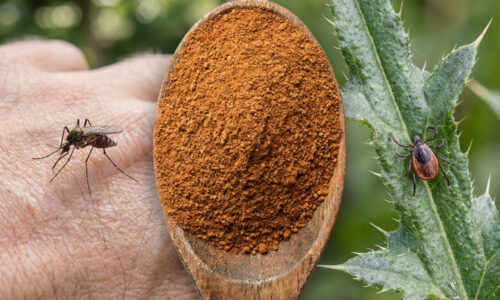 Zabudnite na pasce na myši a chemické postreky, objavte spôsob, ako premeniť vašu záhradu na zakázanú zónu pre škodcov za pár drobných!