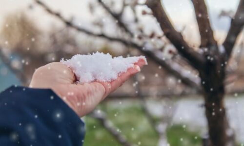 RADAR: Jaro v nedohlednu, udeří lijáky i sněhové krupky. Podívejte se, jak bude u vás