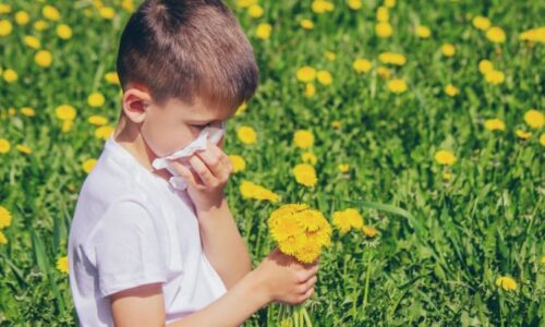 Co vám uleví při alergické rýmě? Podívejte se na osvědčené tipy. Zjara trpí až třetina Čechů