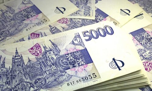 NKÚ pojmenoval problémy Česka: Stát dluží skoro 3,7 bilionu korun, navíc selhává v digitalizaci