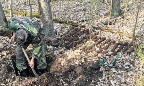 Pyrotechnici na juhu Slovenska vykopali rekordný počet funkčných delostreleckých mín