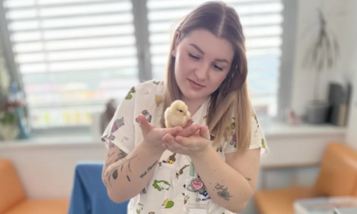 Sestřička Nikola pomáhá nemocným dětem. Po vážné diagnóze nyní sama potřebuje pomoc