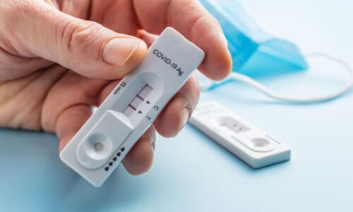 Nová varianta covidu je v Česku. „Cikáda“ dokáže úspěšně obejít očkování, upozorňují experti