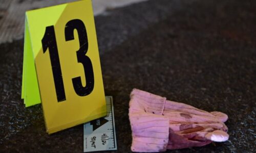 Zbloudilá kulka v New Yorku zabila malou dívenku. Nezasloužila si to, truchlí zdrcená matka