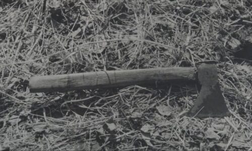 Vražedné běsnění Josefa. Během pár hodin ubil sekerou sedm lidí, neušetřil ani vlastní děti