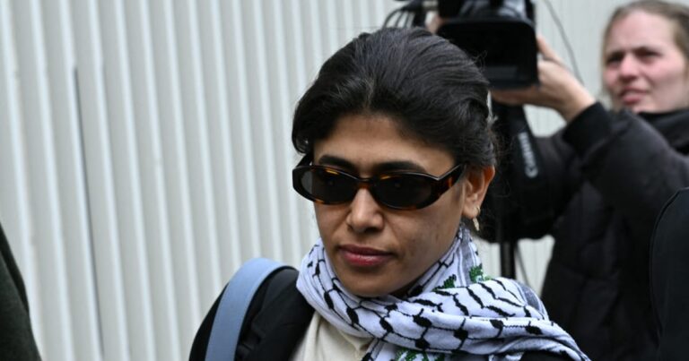 MEP Rima Hassan hits back after police detention &ndash; POLITICO