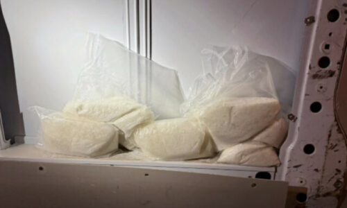 Obrovský drogový úlovok. Pes pomohol nájsť 50 kilogramov pervitínu, muž skončil v rukách polície – VIDEO