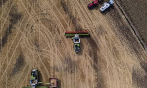 Egypt won’t accept Ukrainian wheat exported by Russia, Zelenskyy says – POLITICO