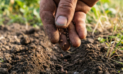 Záhradkársky kalendár na apríl skrýva tajomstvo! Kompletný zoznam zeleniny na pestovanie a sadenice