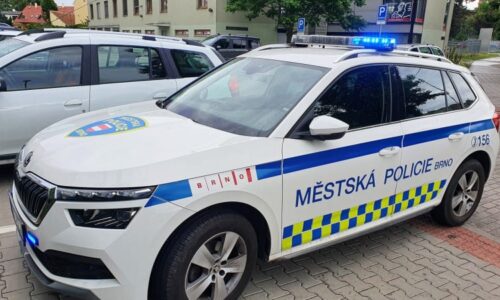 Nahá žena chtěla pokousat strážníka v Brně. Bizární situaci doprovázel sprostý křik