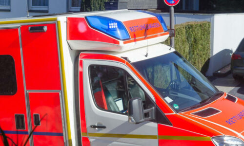 Tři mrtví koledníci včetně kojence. Velikonoční neštěstí otřáslo Německem, zabíjel strom