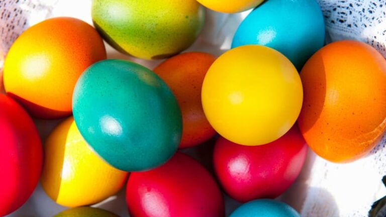 Vejce v číslech. sníme jich 238 ročně. při poměru mezd stálo za husáka 20 korun