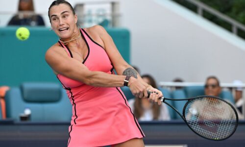 Ženský tenis má jasnú kráľovnú. sobolenková odráža útoky konkurencie. šramková si polepšila pozíciu