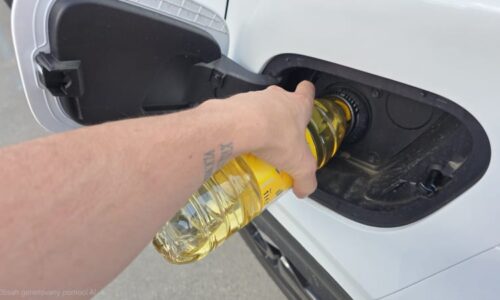 Řidiči místo nafty zkoušejí olej ze supermarketu. Úspora se ale může rychle prodražit