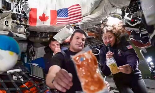 Astronauti na videu ukázali, jak se ve vesmíru stravují. S sebou mají i krevety nebo makarony